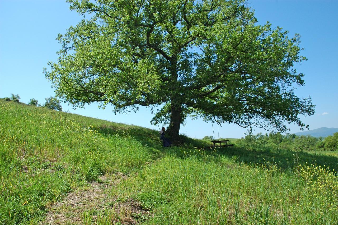 Podere Santa Maria Monte Antico ภายนอก รูปภาพ